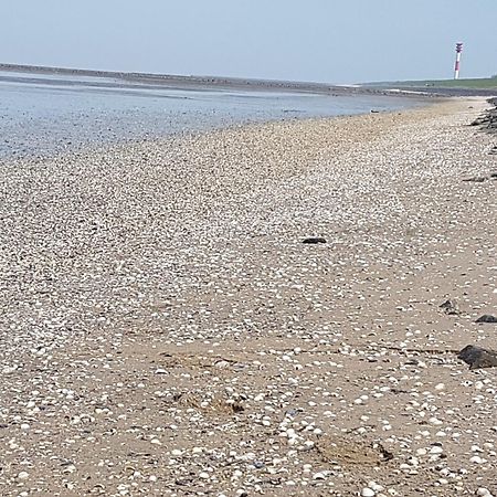 Haus Am Meer Eckwarden Бутадинген Екстериор снимка